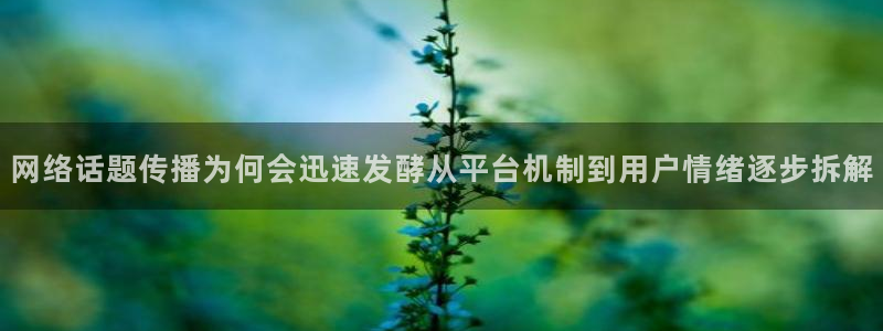 黑料爆料热点榜