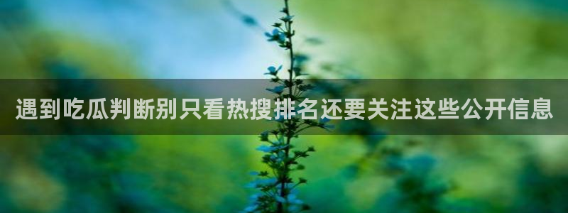 网络热点爆料网