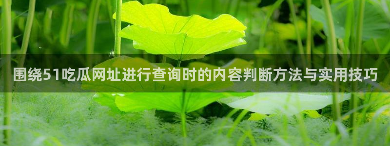 每日热点榜
