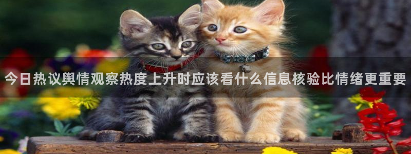 黑料网络资讯:今日热议舆情观察热度上升时应该看什么信息核验比情绪更重要