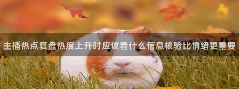 网络资讯动态