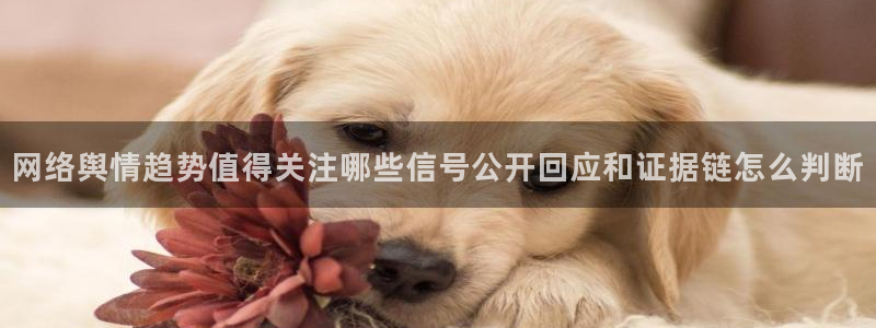 今日热点资讯